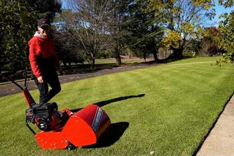 This Video Will Make You ENJOY Lawn Mowing