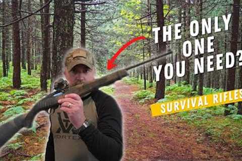 Top SHTF Survival Rifle