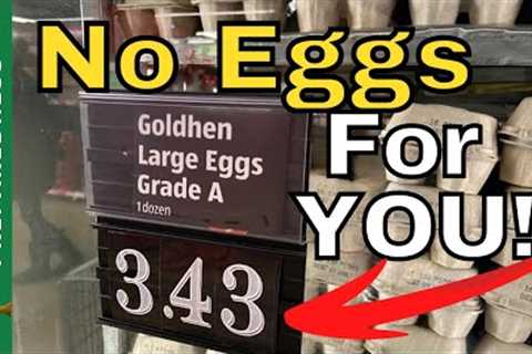First Hand Food SHORTAGES UPDATE | Empty Shelves At Walmart &amp; Aldi