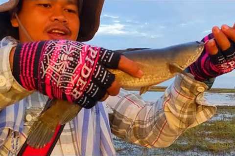 Three common snakeheads fish in 1 hour! how fish hit the bait!