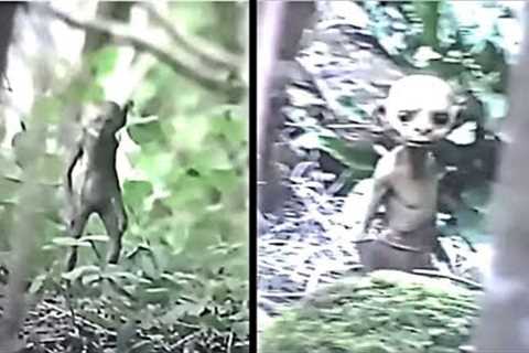 This Hiker Makes a Chilling Discovery While Exploring an Abandoned Trail