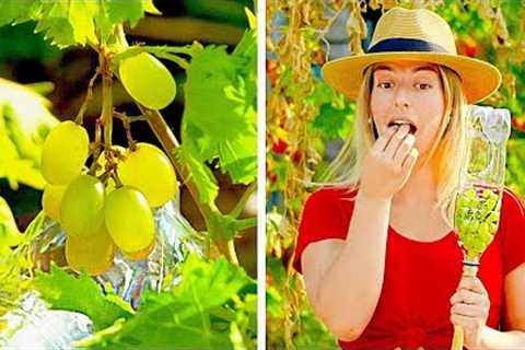 35 Brilliant GARDENING Tips For Beginners || Useful Gadgets For Garden by 5-Minute Recipes!