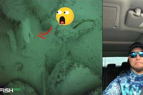 We found a body while fishing!