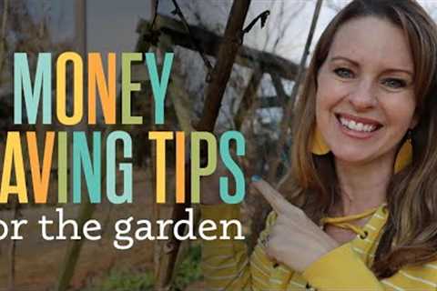 Beginning Gardening tips to save you money