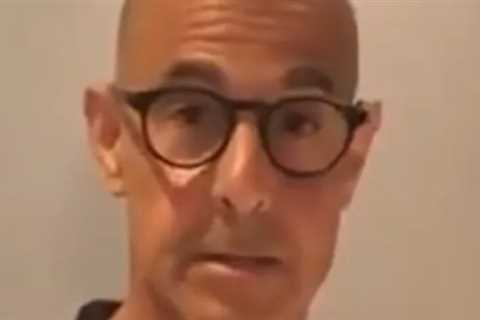 Stanley Tucci Teaches You How to Make 10 Cocktails