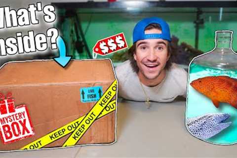 UNBOXING MYSTERY FISH BOX BOUGHT OFF THE WEB... (what's inside?)