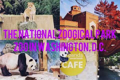 #zoo #washington Smithsonian National Zoological Park Part 2 Browse with me 🐯🐒🥰👨‍👩‍👧