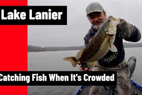 Lake Lanier Busy Weekend Fishing