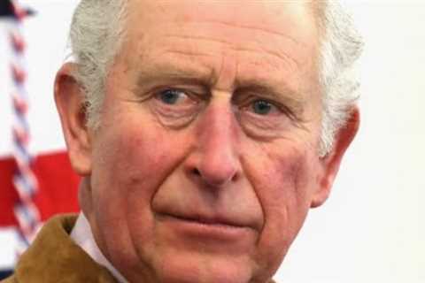 How do celebrities who have met King Charles really feel about him?