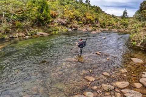 FLY FISHING in REMOTE River [New Zealand]