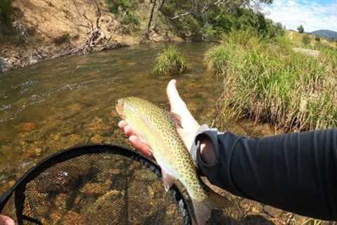 EPIC Session Fly Fishing an Australian River