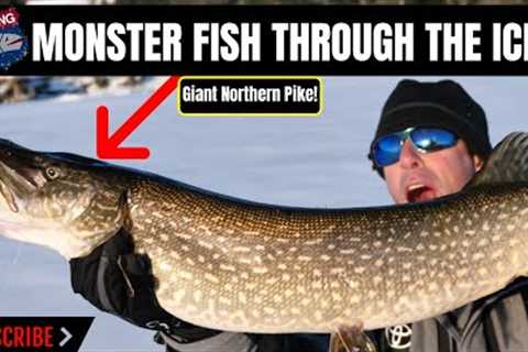 Monster Fish Through the Ice on Lake George!!