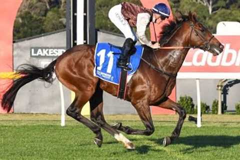 Flemington - Horse Racing Tips 🏇 | Kensington Stakes Day (17/12/22)
