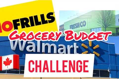 Budget Friendly Grocery Shopping | Walmart | International Students | Ottawa Canada 🇨🇦
