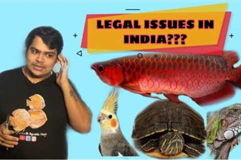 REGISTRATION FOR EXOTIC PETS IN INDIA ??? FISHES, BIRDS, REPTILES, Etc