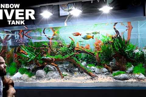 The Rainbowfish River Tank: EPIC 4ft Aquascape Tutorial