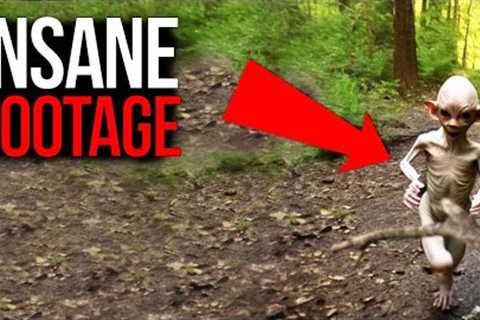 Disturbing Trail Cam Footage You Won't Believe Exists