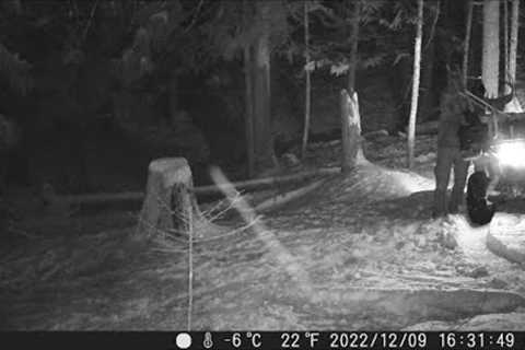 Trail Camera Video December 17, 2022
