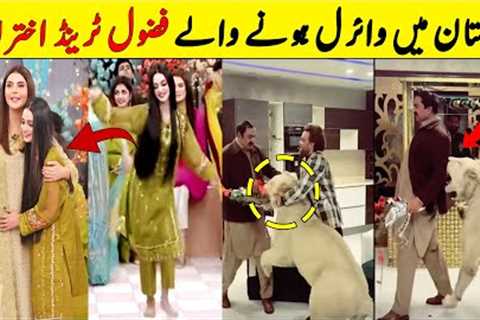 Pakistani People That Got Viral In One Day | Viral Videos | NYKI