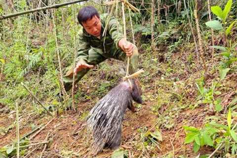 Detecting footprints, and hunting, skills, hedgehog bowls, survivalinstinct
