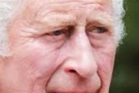 The Top Ten Reasons Britain Doesn't Want Prince Charles to Be King