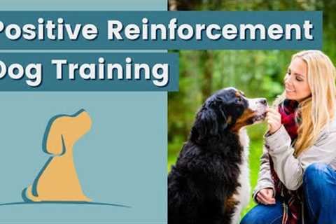 Dog Training Tips Using Positive Reinforcement