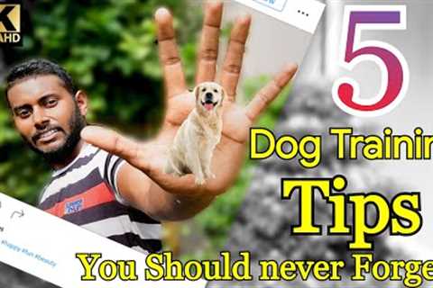 5 Dog Training Tips &amp; Secrets in 5 Minutes (Hindi) 4K || Smart Dog Training