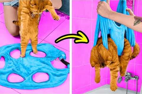 Priceless Gadgets And Hacks For Pet Owners
