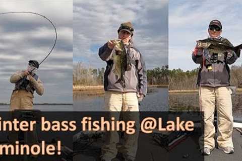 Winter Bass Fishing @Lake Seminole!