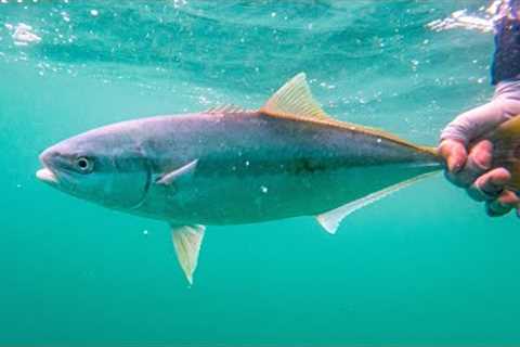 Incredible Saltwater Fly Fishing Close to Home