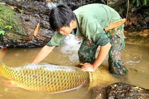 Survival skills, catching fish with bare hands, surviving in the jungle