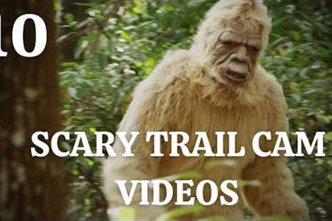 Top 10 Scary Trail Cam Videos We Weren't Supposed To See | Caught On Camera | Trail Cam