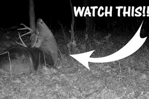 Can't Believe I Caught THIS on Camera! A MYSTERIOUS Ending to the Series of Videos!