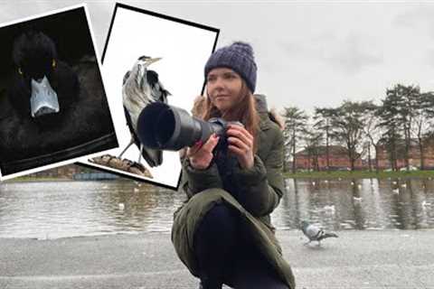 Bird photography in the park | Wildlife Photography Vlog #30