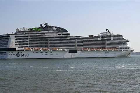 Chaos Erupts After Overboard Cruise Passenger Dies