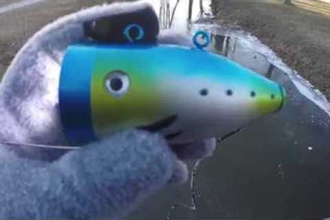 UnderWater Fish Camera : Fish Viewer