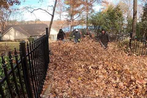 Leaf CLEANUP Army Can't be STOPPED Insanely FAST leaf Cleanup