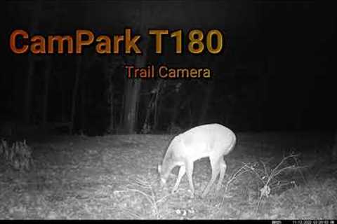 Trail Cam Tuesday - December 20, 2022