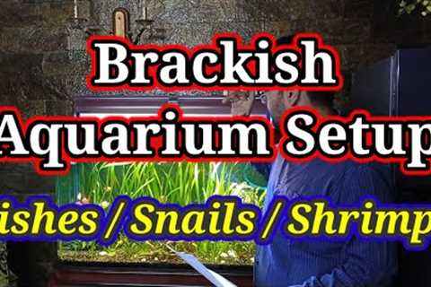 Brackish Water Aquarium / Brackish Water Fish, Snails &amp; Plants - Setup, Culture, Aquaculture..