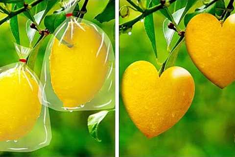 15 Easy Ways to Grow Veggies And Fruits || Useful Gardening Tips by 5-Minute Recipes!