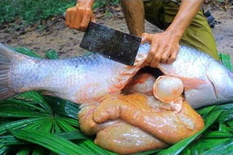 Wow! Cooking Big Fish Eggs Recipe Eating Delicious in the Forest