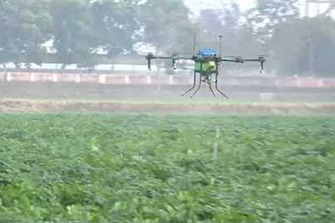 Drone Technology In Potato ICAR-CPRI