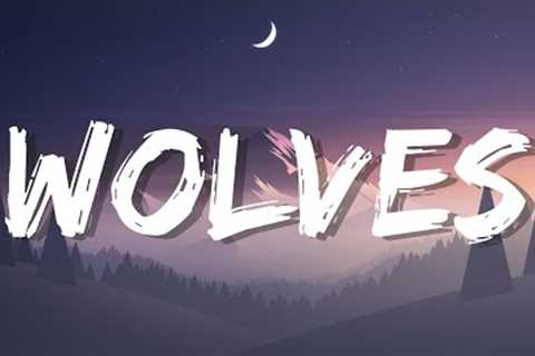 'Wolves'- Selena Gomez, Marshmello Lyrics Video (Cover)