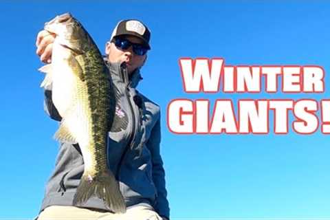 How to FIND and CATCH BIG Bass all early Winter! - Lake Lanier Spotted Bass