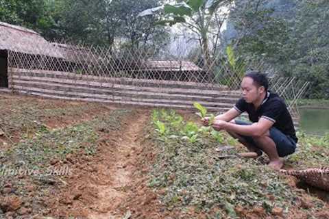 Primitive Skills: extend, build an organic garden (ep 201)
