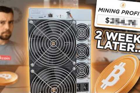 2 Weeks Later - Is It Worth Mining Bitcoin with the Bitmain Antminer S19?