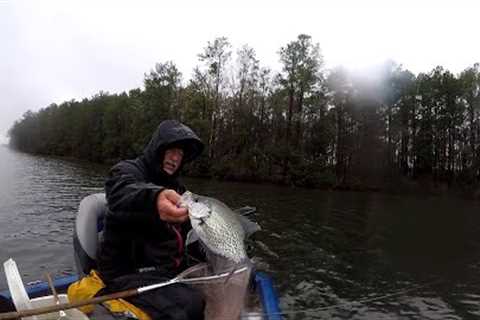 Crappie &amp; White Perch In The Cold Rain, Lake Monticello