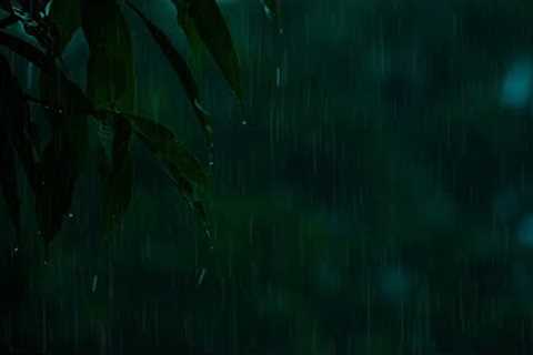 Gentle Night Rain 10 HOURS | Sleep, Insomnia, Meditation, Relaxing, Study, Reduce Stress, Tinnitus