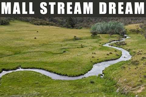 Snowy Mountains Small River Fly Fishing