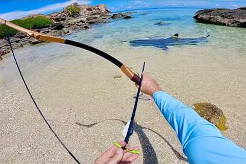SOLO SPEAR AND BOW HUNTING Living From The Sea, Island Catch N Cook!